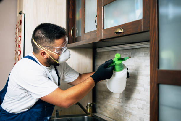Pest Control for Restaurants in Ord, NE