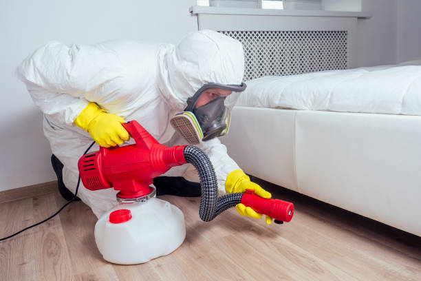 Best Affordable Pest Control Services  in Ord, NE